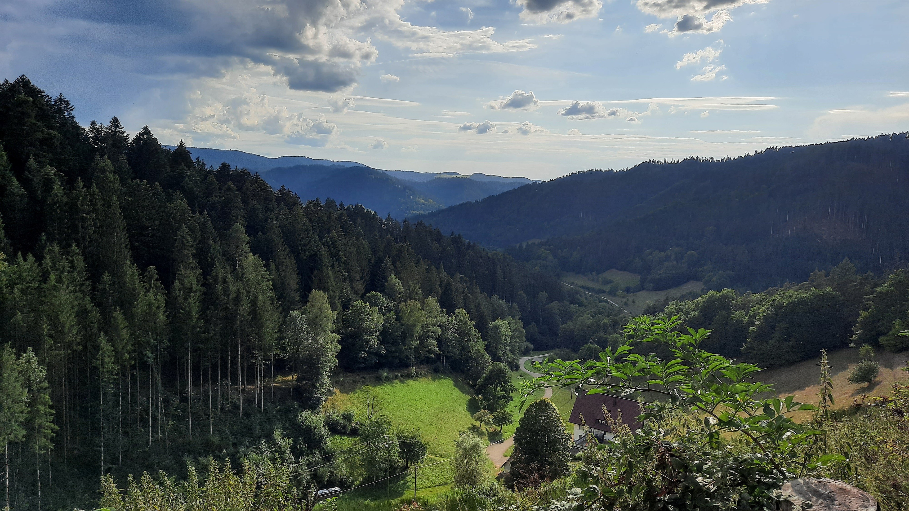 GTJ - Schwarzwald Aussicht