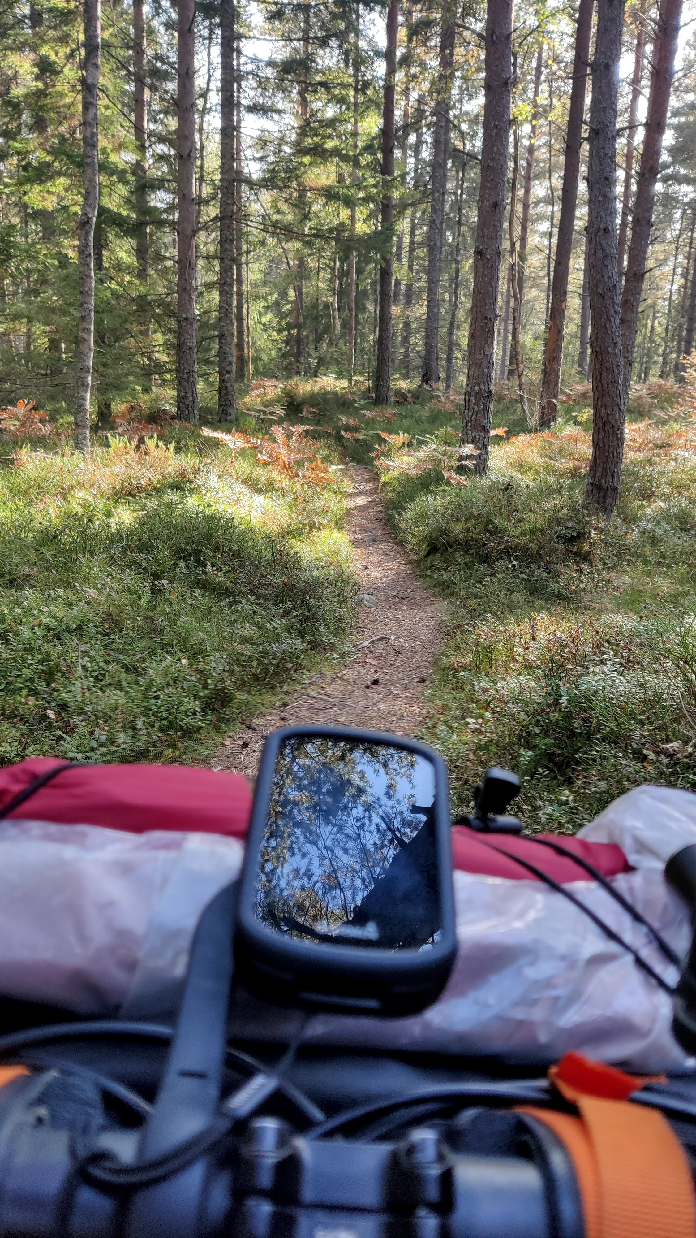 Alter Schwede 4 - Waldsingletrack