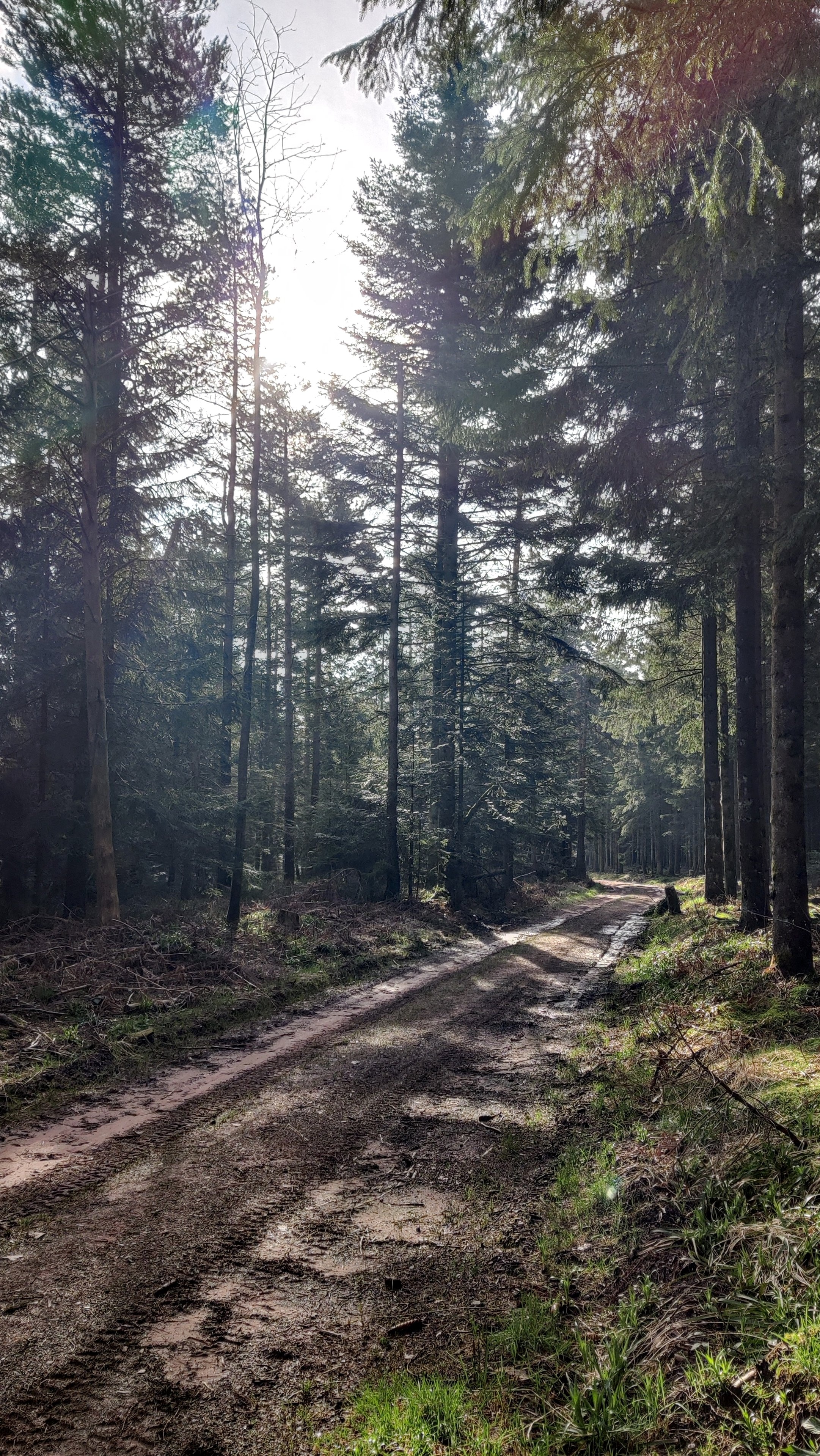 Weekend Sonnenweg