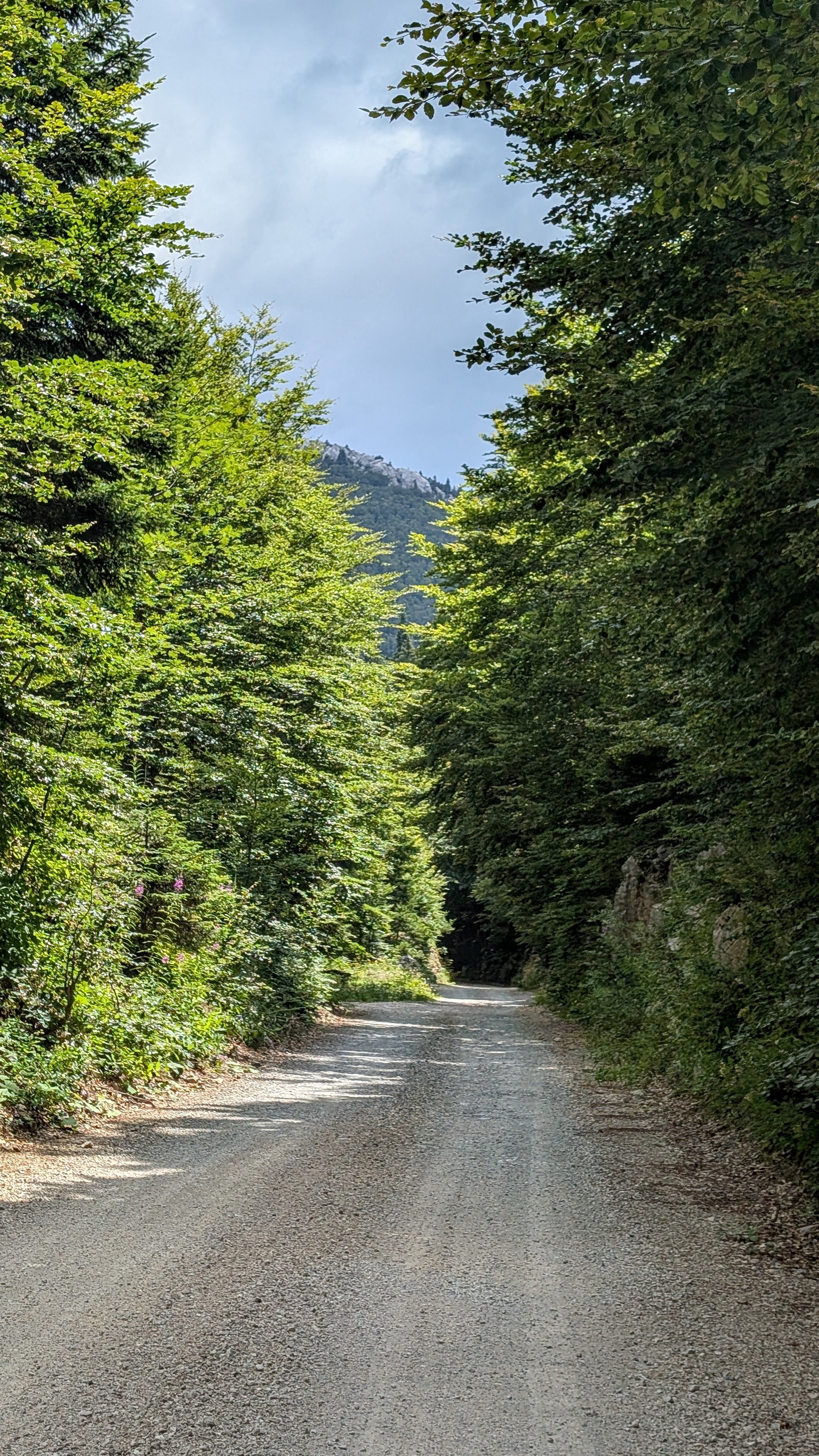 Velebit - Schotterweg