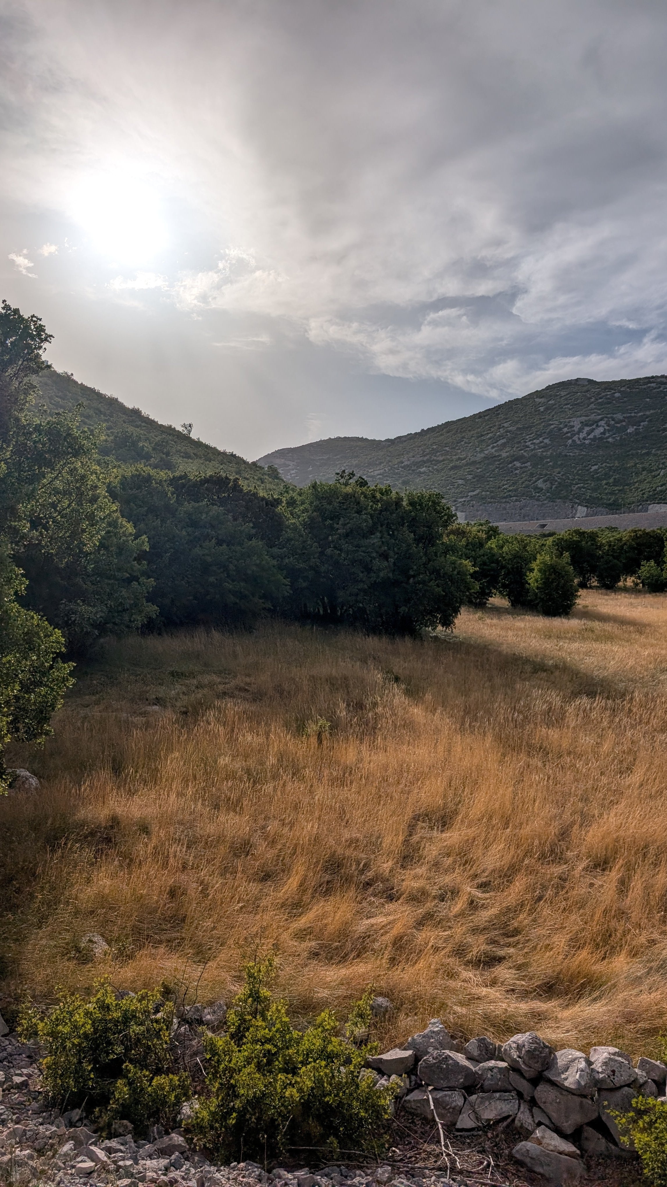 Velebit - Wiese