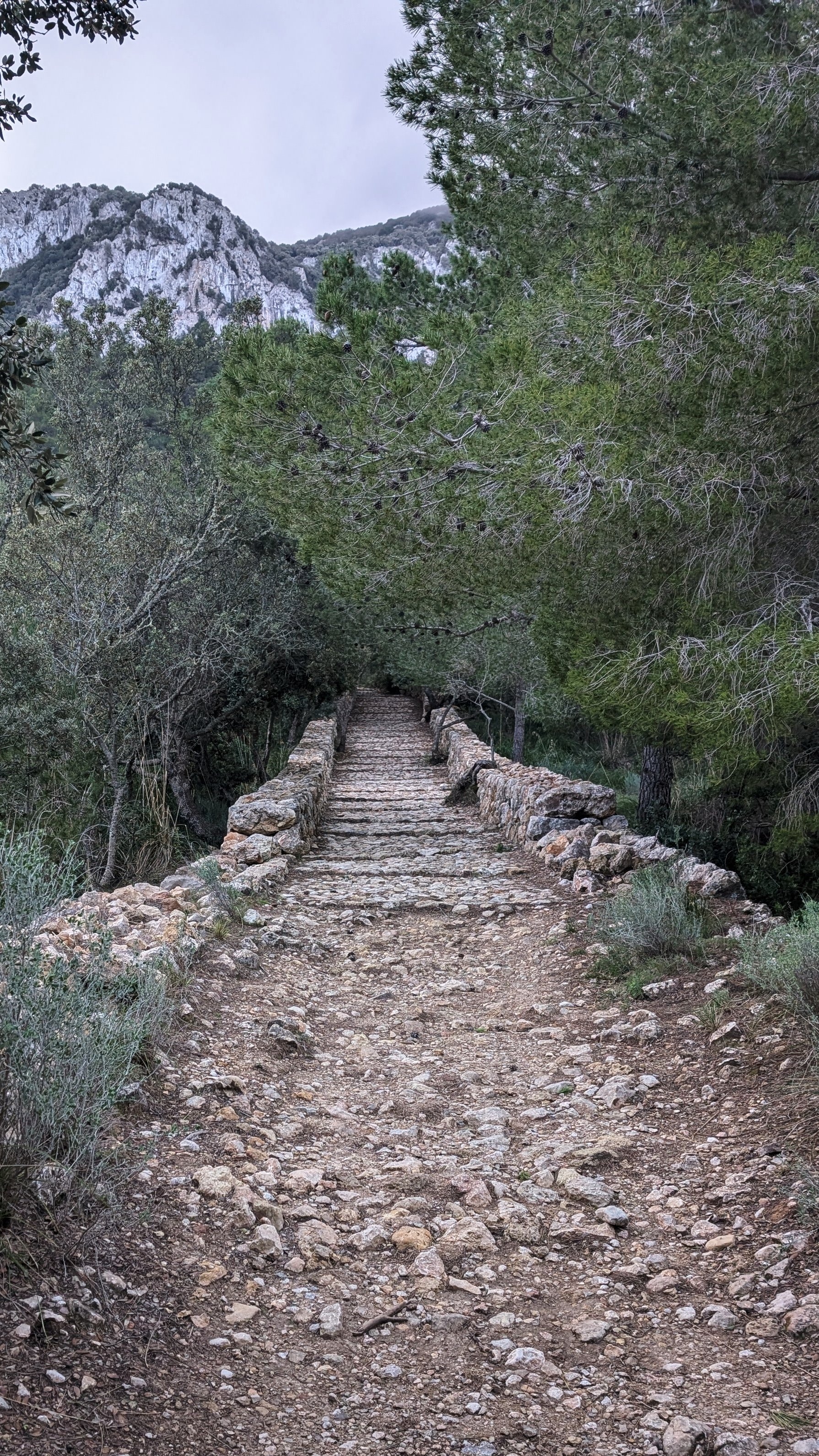 mallorca - Weg hochwärts nach Banyalbufar