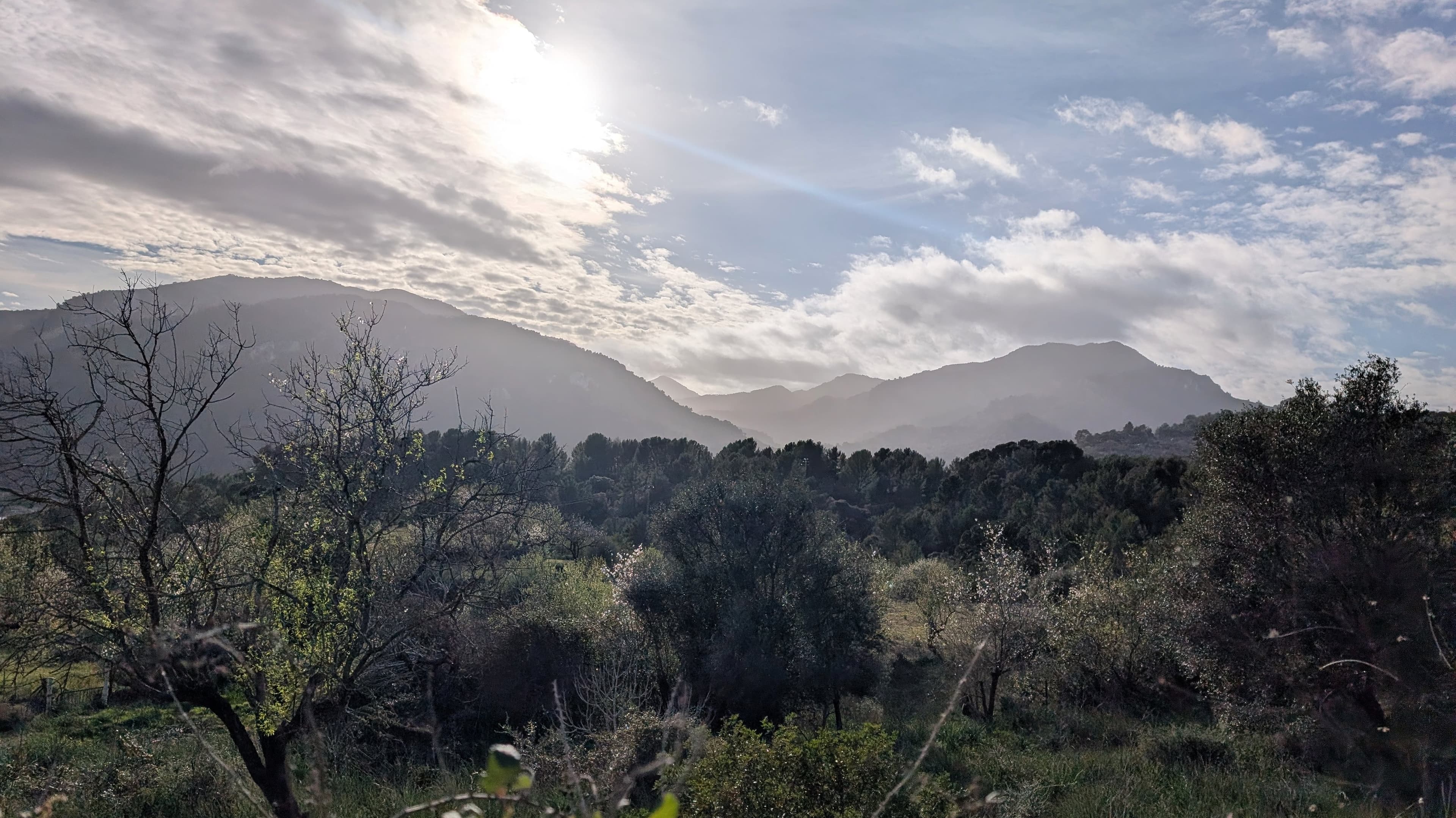 mallorca - Bergkette über Esporles