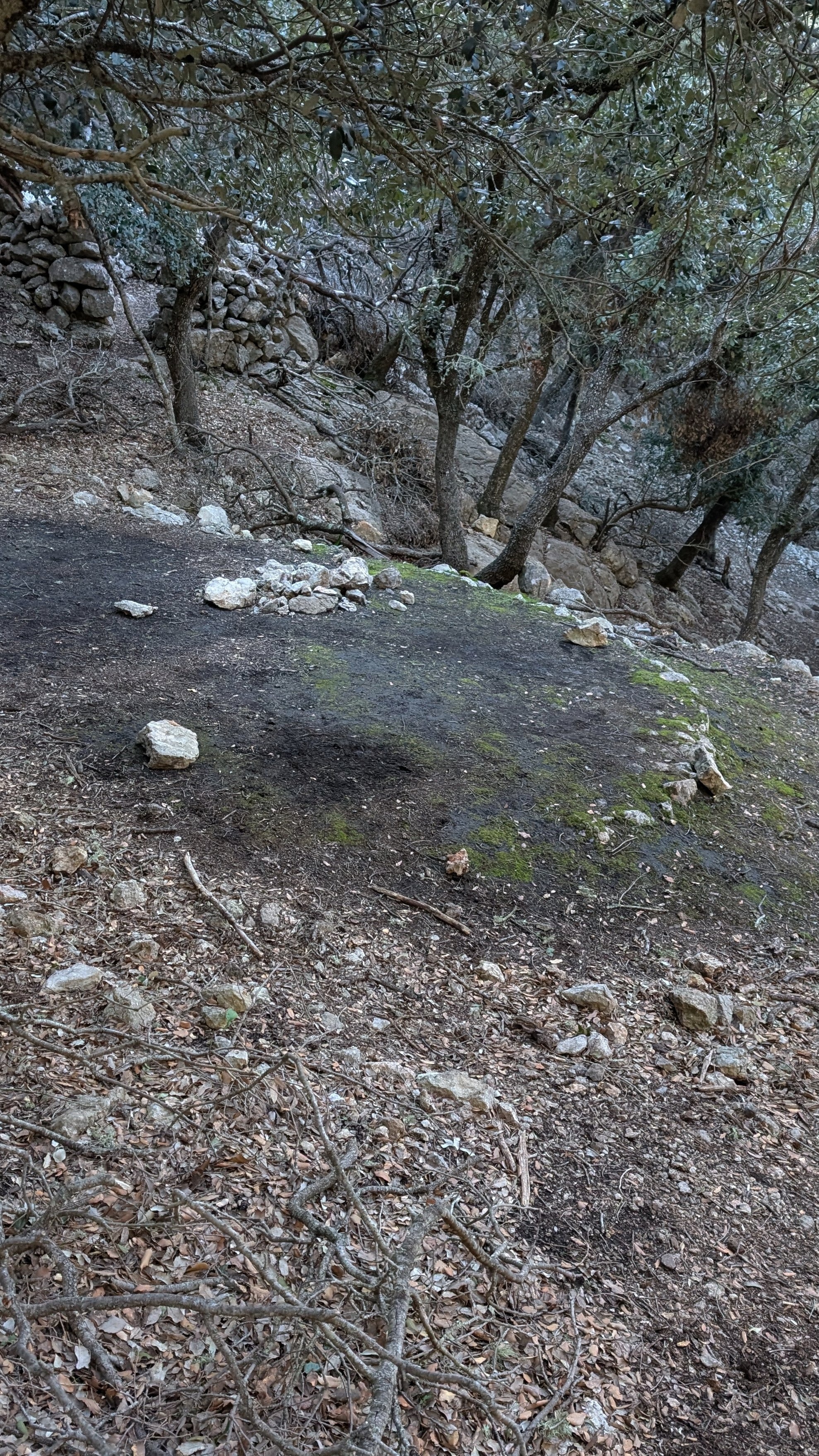 mallorcac - Köhlerplatz nach Esporles