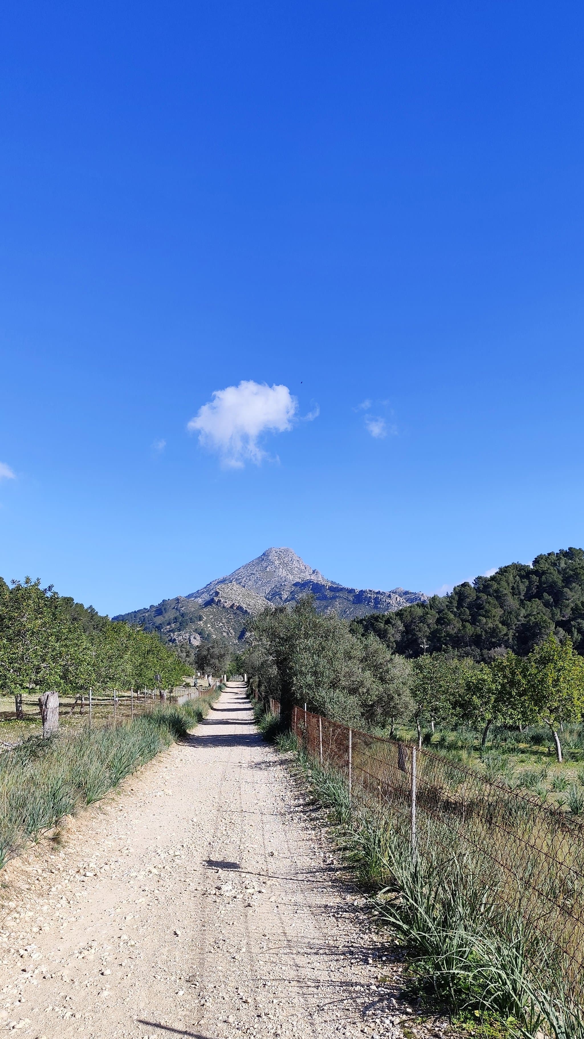 mallorca - Anstieg von Es Capadella aus