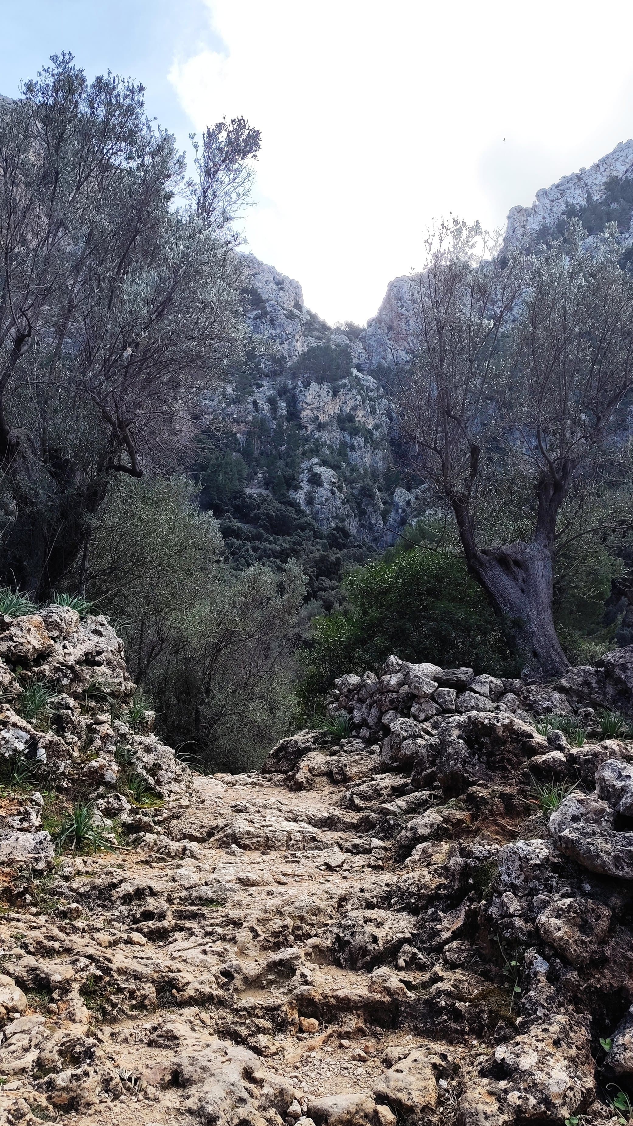mallorca - Trockensteinpfad in Schlucht nach Soller