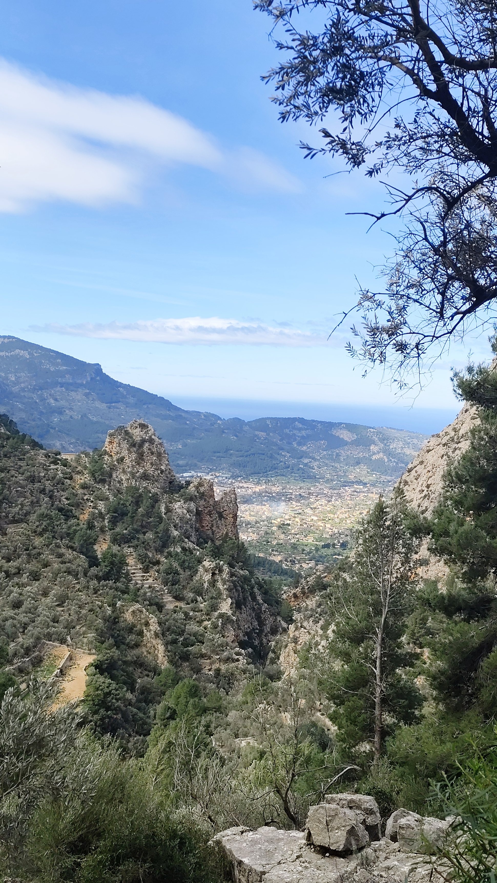 mallorca - Ausblick Richtung Soller mit Meer