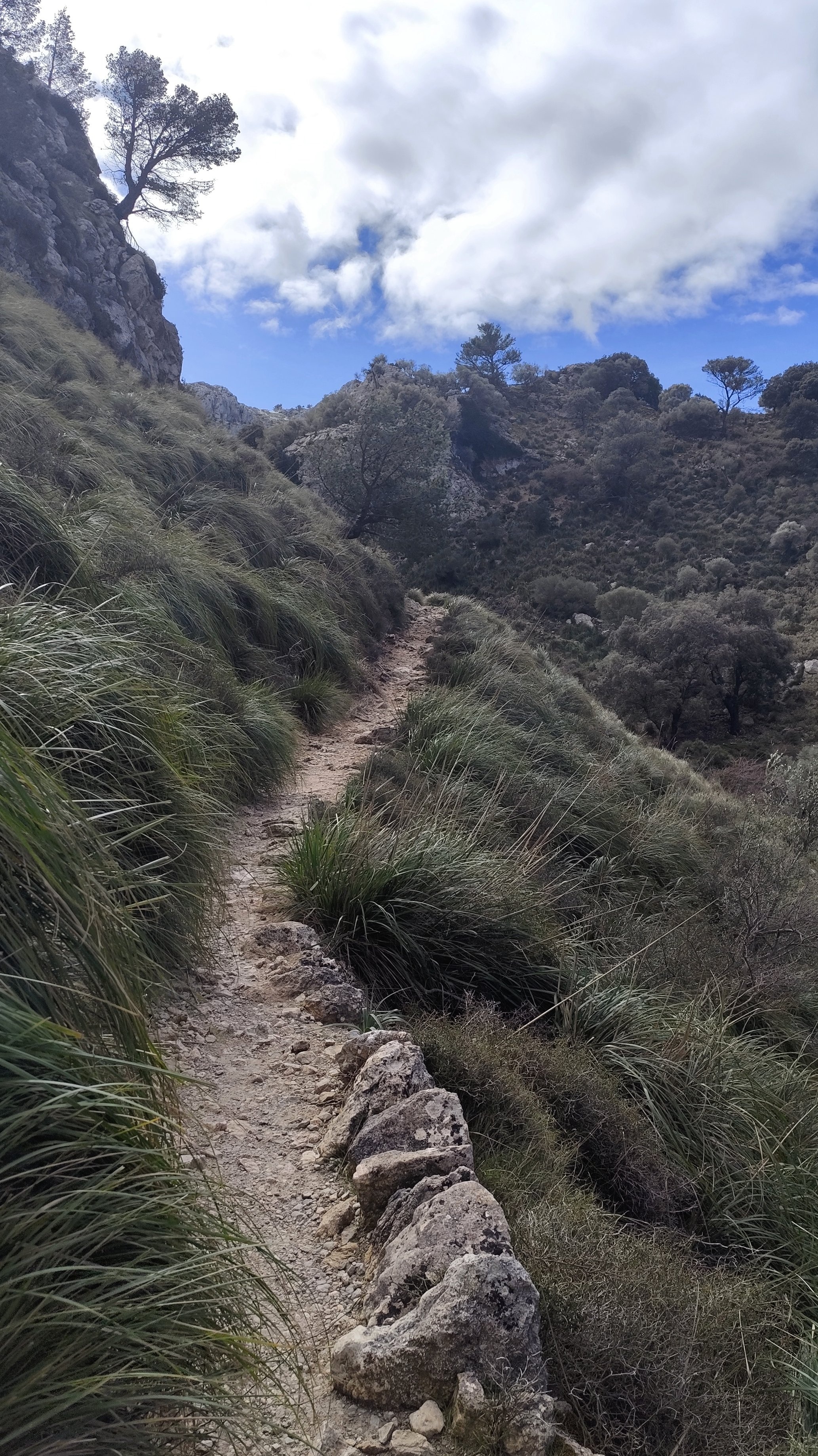 mallorca - Weg Aufwärts von Soller nach Cuber